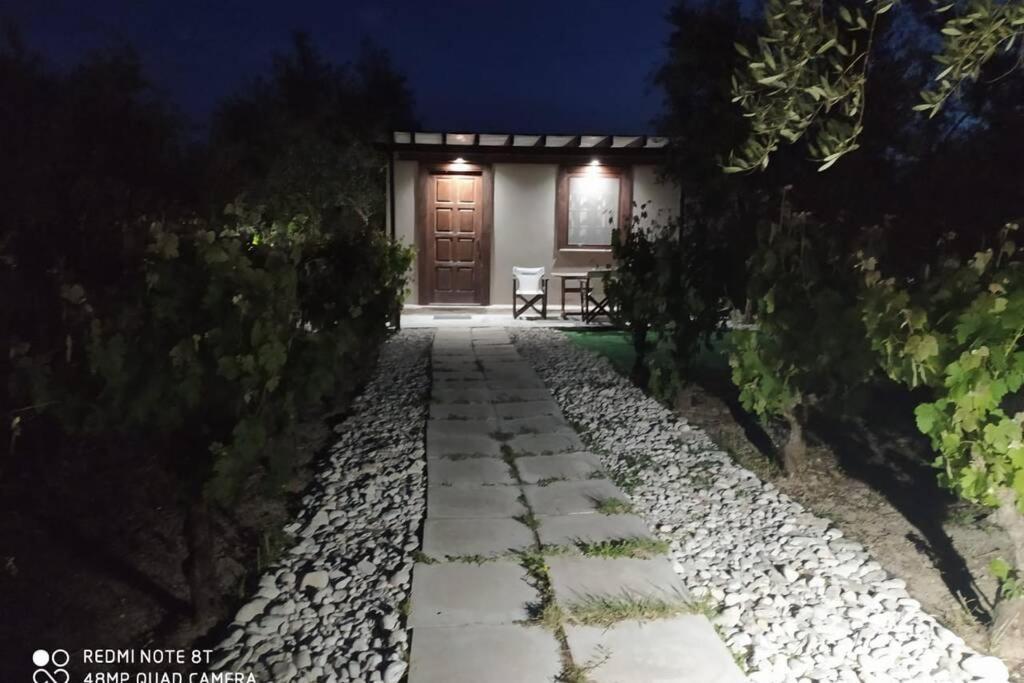 Villa Raisin House à Koukounariá Extérieur photo